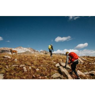 Cómo Mantener Energía Constante con Nootrópicos en Rutas de Hiking