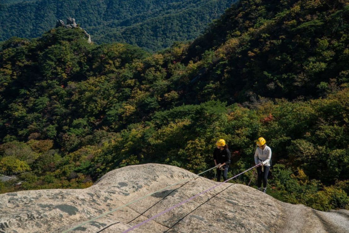 Guía Definitiva: Beneficios del Aceite de Krill para Escaladores