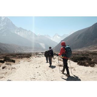 Guía Definitiva: L-Teanina para un Hiking Consciente y Relajado