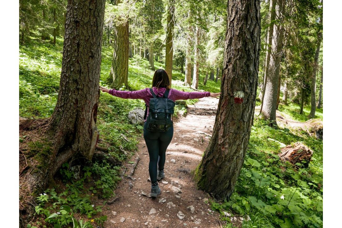 Senderismo en la Sierra de San Francisco, Baja California Sur: Consejos para explorar pinturas rupestres.