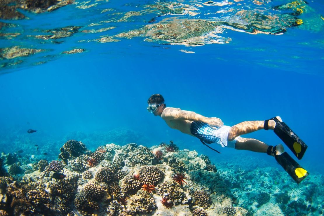 Explorando el Parque Nacional Arrecife Alacranes, Yucatán: Equipo esencial para actividades acuáticas.